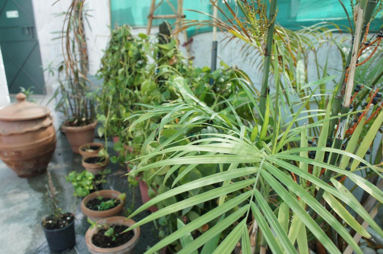 Bed & Chai Guesthouse New Delhi Exterior photo