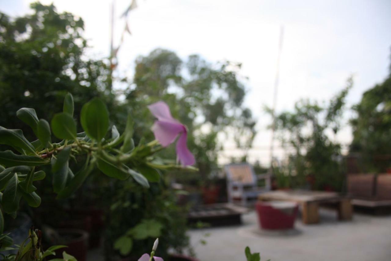 Bed & Chai Guesthouse New Delhi Exterior photo